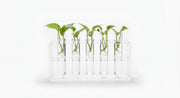 Alternate angle of acrylic propagation tube stand for plant cuttings