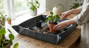 Foldable Potting Tray for Indoor Repotting in a real plant-care setting